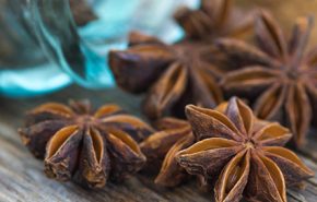 Estragol Natural Isolate (Anise Star Fractions)