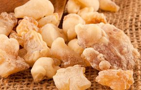 Frankincense Neglecta ORGANIC