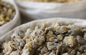 Frankincense Rivae ORGANIC