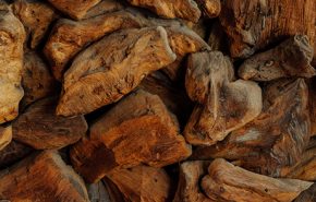 Sandalwood Mysore Essential Oil