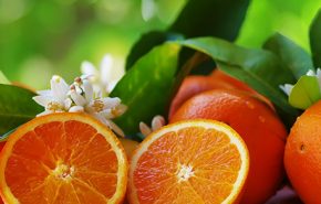 Orange Sweet Essential Oil